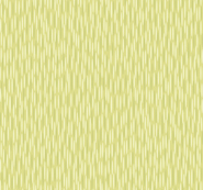 8019